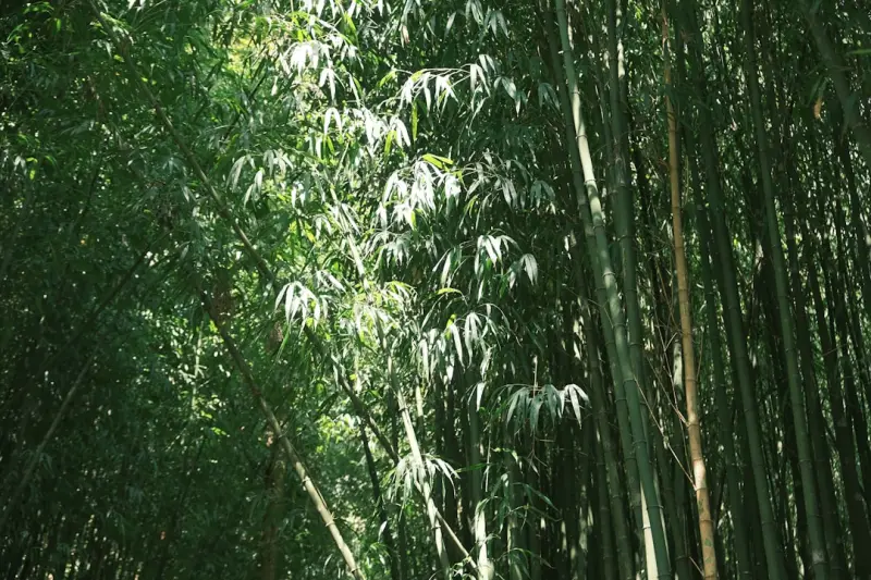 建筑工地配电箱安装规范与常见隐患防范措施
