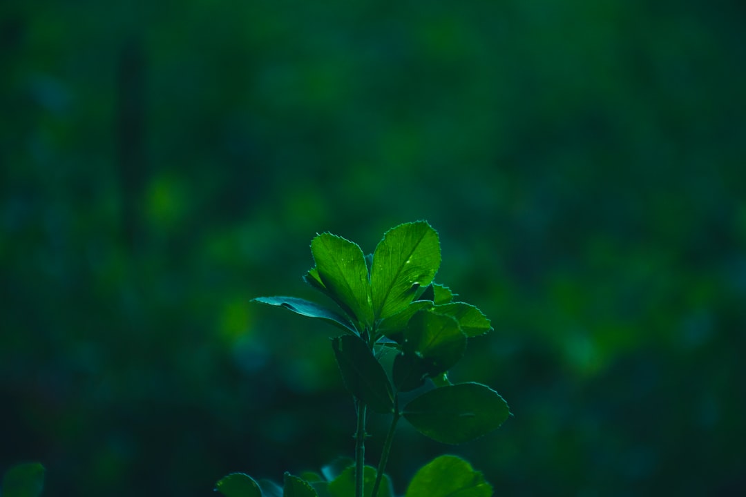 配电箱与动力柜在工厂供电系统中的选型与配置要点
