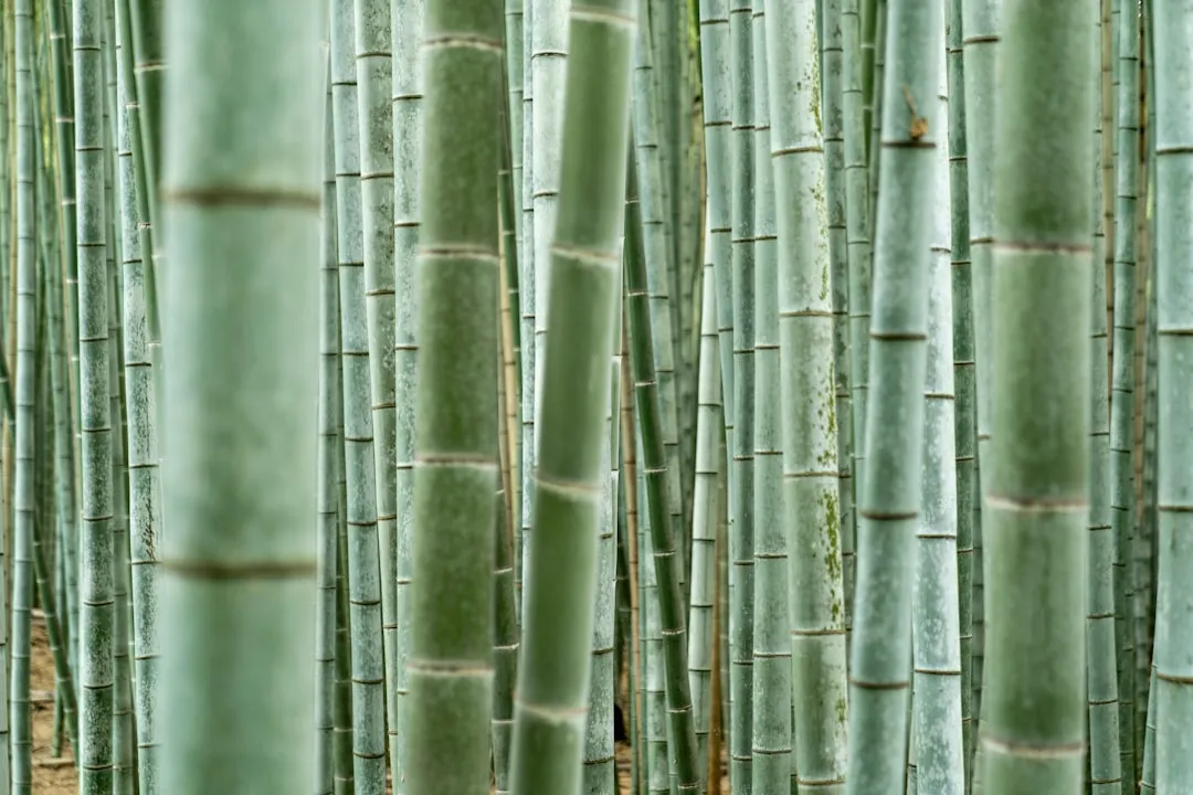 建筑工地配电箱与动力柜选型要点及安全配置规范