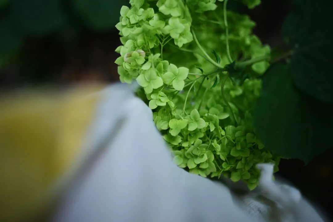 配电箱与动力柜在工厂配电系统中的功能差异与选型要点解析
